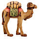 Camelo para presépio madeira pintada Raffaello do Val Gardena com figuras de 12 cm altura média s1