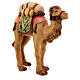 Camelo para presépio madeira pintada Raffaello do Val Gardena com figuras de 12 cm altura média s4