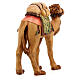 Camelo para presépio madeira pintada Raffaello do Val Gardena com figuras de 12 cm altura média s5