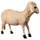 Sheep statue for Lando Landi's Nativity Scene of 100 cm for OUTDOOR, fibreglass s3