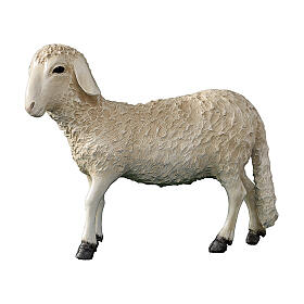Estatua oveja belén 100 cm Lando Landi fibra de vidrio EXTERIOR
