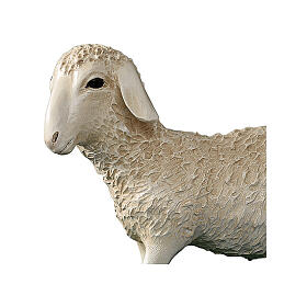 Estatua oveja belén 100 cm Lando Landi fibra de vidrio EXTERIOR
