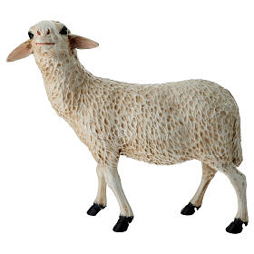 Sheep swith head up, statue for Lando Landi's Nativity Scene of 100 cm for OUTDOOR, fibreglass