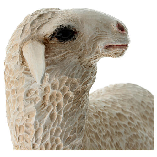 Sheep swith head up, statue for Lando Landi's Nativity Scene of 100 cm for OUTDOOR, fibreglass 2
