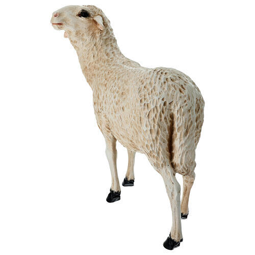 Sheep swith head up, statue for Lando Landi's Nativity Scene of 100 cm for OUTDOOR, fibreglass 4