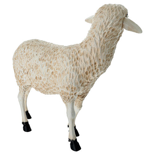 Sheep swith head up, statue for Lando Landi's Nativity Scene of 100 cm for OUTDOOR, fibreglass 5