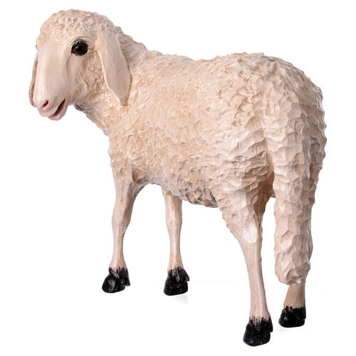 Estatua oveja cabeza alta Lando Landi belén 100 cm fibra de vidrio PARA EXTERIOR 4