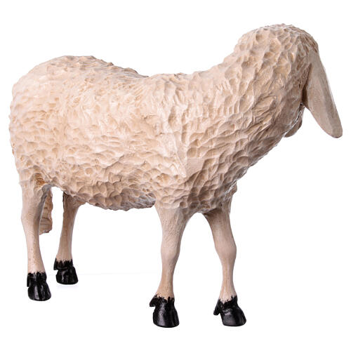 Estatua oveja cabeza alta Lando Landi belén 100 cm fibra de vidrio PARA EXTERIOR 5