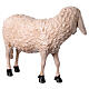 Statue mouton tête haute fibre de verre crèche 100 cm Lando Landi EXTÉRIEUR s5