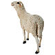 Statue mouton tête haute fibre de verre crèche 100 cm Lando Landi EXTÉRIEUR s4