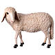 Figura ovelha cabeça erguida para presépio Lando Landi 100 cm fibra de vidro EXTERIOR s1