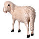 Figura ovelha cabeça erguida para presépio Lando Landi 100 cm fibra de vidro EXTERIOR s4
