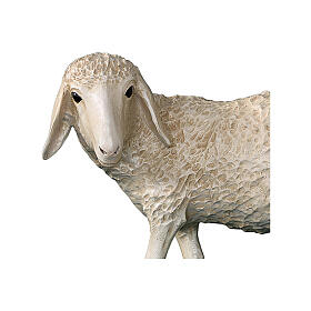 Statue sheep head high Lando Landi nativity scene 100 cm fiberglass FOR OUTDOOR