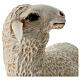 Statue sheep head high Lando Landi nativity scene 100 cm fiberglass FOR OUTDOOR s2