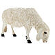Statue mouton tête tournée fibre de verre crèche 100 cm Lando Landi EXTÉRIEUR s4