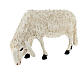 Figura ovelha cabeça virada para presépio Lando Landi 100 cm fibra de vidro EXTERIOR s3