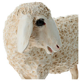 Sheep with head down, statue for Lando Landi's Nativity Scene of 100 cm for OUTDOOR, fibreglass