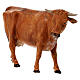 Vaca de pé para presépio Fontanini com figuras altura média 19 cm s2