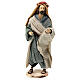 Holy Family statue resin and cloth donkey Light of Hope 30 cm s6