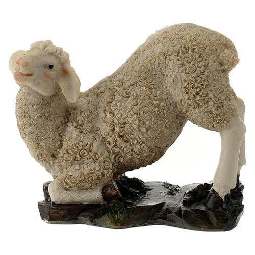 Set of 3 sheeps in resin for a 30cm Nativity 4