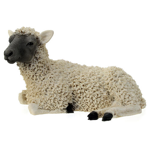 Young sheep lying down, resin statue for 21 cm Nativity Scene 1