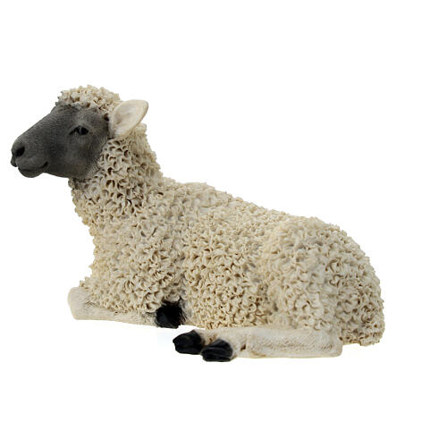 Young sheep lying down, resin statue for 21 cm Nativity Scene 2