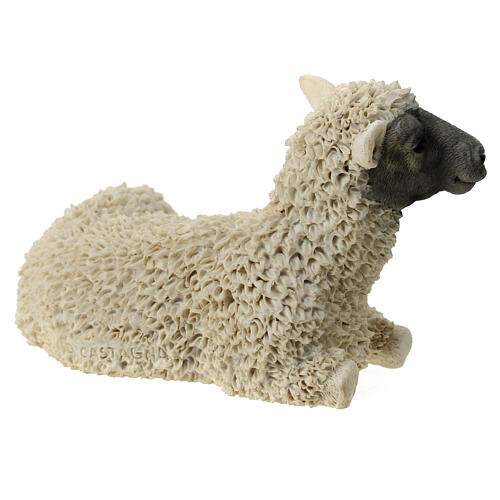 Young sheep lying down, resin statue for 21 cm Nativity Scene 3