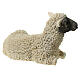 Young sheep lying down, resin statue for 21 cm Nativity Scene s3