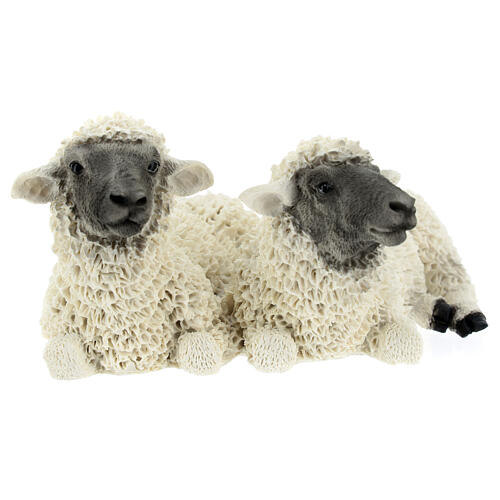 Couple moutons statuette crèche résine 21 cm 1