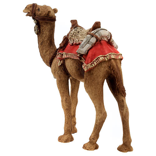 Camel, resin Nativity Scene of 16 cm 4