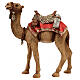 Camel, resin Nativity Scene of 16 cm s1