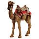 Camel, resin Nativity Scene of 16 cm s2