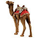 Camel, resin Nativity Scene of 16 cm s4