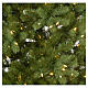 Albero di Natale 225 cm verde Poly memory shape luci Bayberry s4