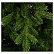 Sapin de Noël 225 cm Poly couleur vert Princetown s2