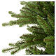 Weihnachtsbaum aus Poly in grün Absury Spurce, 225 cm s4