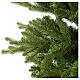 Árvore de Natal 225 cm Poly Feel-Real verde modelo Absury Spruce s2