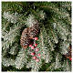 Grüner Weihnachtsbaum 180cm mit Schnee Beeren und Zapfen Mod. Dunhill s5