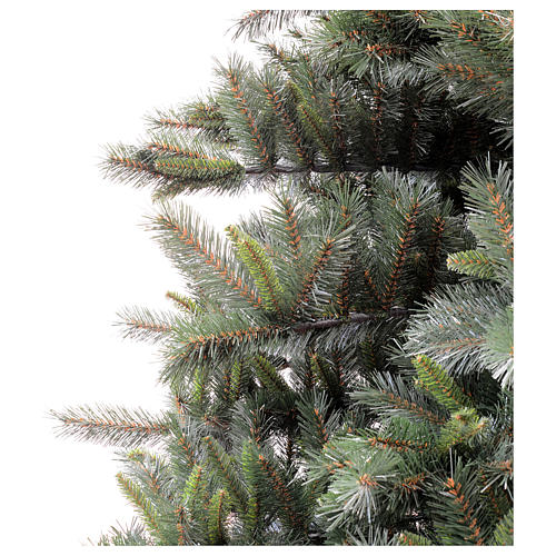 Grüner Weihnachtsbaum 450 cm Tiffany Fir 4