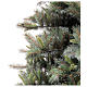 Árbol de Navidad 450 cm verde Tiffany Fir s4