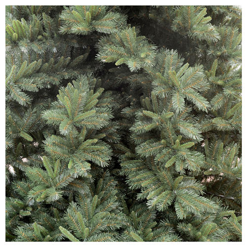 Albero di Natale 450 cm verde Tiffany Fir 2