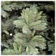 Christmas Tree 14.7', green Tiffany Fir s3