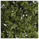 Choinka sztuczna 180 cm zielona Poly Bloomfield Fir s3