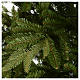 Choinka sztuczna 180 cm zielona Poly Bloomfield Fir s4