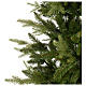 Albero di Natale 210 cm Poly colore verde Bloomfield Fir s2