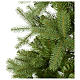 Árvore de Natal 240 cm polietileno Slim Bayberry Spruce s4