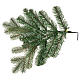 Christmas tree 180 cm green Poly feel real Colorado S s6