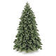 Sapin de Noël 210 cm vert Poly Colorado Spruce s1