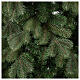Sapin de Noël 210 cm vert Poly Colorado Spruce s2