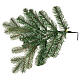 Sapin de Noël 210 cm vert Poly Colorado Spruce s6